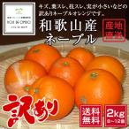  прямая поставка от производителя! Wakayama производство есть перевод ne-bru orange 2kg [ бесплатная доставка ]