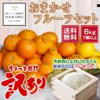  Wakayama производство . рис 500g* подарок осуществляется! случайный фрукты комплект 7 вид и больше примерно 6kg* зима ~ весна. ... основной [ бесплатная доставка ]# установленная дата указание не возможно * отправка на следующий день квитанция ограничение #
