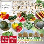 * Revue . написать [ фрукты ....] подарок осуществляется!* случайный . овощи комплект большой размер 15 вид и больше [ бесплатная доставка ]# установленная дата указание не возможно * отправка на следующий день квитанция ограничение #