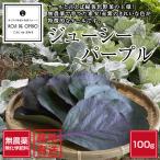 和歌山産 無農薬 ケール（ジューシーパープル）100g ■翌日受取限定・時間指定にご注意ください■