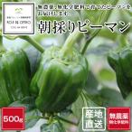  нет пестициды утро .. зеленый перец размер смешивание 500g # установленная дата указание не возможно * отправка на следующий день квитанция ограничение : на следующий день доставка часовой пояс . обратите внимание #