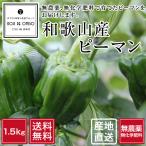  Wakayama производство нет пестициды зеленый перец размер смешивание 1.5kg [ бесплатная доставка ]# установленная дата указание не возможно * отправка на следующий день квитанция ограничение : доставка часовой пояс . обратите внимание #