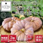  нет пестициды Wakayama производство Япония тыква ..3 шт. комплект примерно 2.5kg [ бесплатная доставка ]