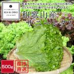  прямая поставка от производителя! Wakayama производство Sunny lettuce ( зеленый leaf ) 500g # установленная дата указание не возможно * отправка на следующий день квитанция ограничение : час указание . обратите внимание #