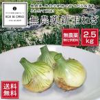 to. длина прямая поставка! нет пестициды Wakayama производство новый шар лук порей 2.5kg # установленная дата указание не возможно * отправка на следующий день квитанция ограничение : доставка часовой пояс . обратите внимание #