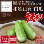 今日のお買い得!無農薬 和歌山産 訳あり 白瓜 約1kg ■期日指定不可・発送翌日受取限定:翌日お届け時間帯にご注意ください■