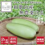  нет пестициды Wakayama производство восточная маринованная дыня примерно 2kg [ бесплатная доставка ] # установленная дата указание не возможно * отправка на следующий день квитанция ограничение * на следующий день доставка часовой пояс . обратите внимание #