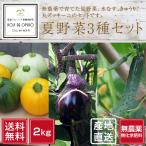  нет пестициды Wakayama производство утро .. лето овощи ( вода ..* огурец * круг кабачок )3 вид примерно 2kg [ бесплатная доставка ] # отправка на следующий день квитанция ограничение : на следующий день доставка часовой пояс . обратите внимание #