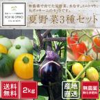  нет пестициды Wakayama производство утро .. лето овощи ( вода ..* мини помидоры * круг кабачок )3 вид примерно 2kg [ бесплатная доставка ] # отправка на следующий день квитанция ограничение : на следующий день доставка часовой пояс . обратите внимание #
