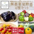  нет пестициды Wakayama производство лето овощи 4 вида комплект ( вода ..* мини помидоры * паприка * круг кабачок ) примерно 2kg[ бесплатная доставка ] # на следующий день квитанция ограничение : на следующий день доставка часовой пояс . обратите внимание #