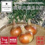  нет пестициды Wakayama производство шар лук порей 1kg M*S размер смешивание 