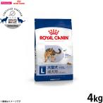 ロイヤルカナン犬ドッグフードマキシ...