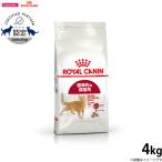 ロイヤルカナン 猫 キャットフード フィット 4kg（ロイヤルカナン ROYALCANIN ドライフード）