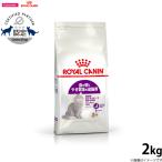 ショッピングロイヤルカナン 猫 ロイヤルカナン 猫 キャットフード センシブル 2kg（ロイヤルカナン ROYALCANIN ドライフード）