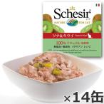 シシア フルーツタイプ ツナ＆キウイ 75g×14缶