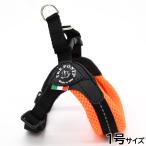 トレポンティハーネス犬フィッビアア...