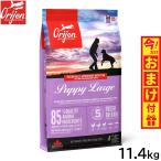 オリジンOrijenドッグフードパ...