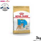 ロイヤルカナン 柴犬 ドッグフード 子犬用 3kg(ロイヤルカナン ROYALCANIN ドライフード)