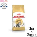 ロイヤルカナン 猫 キャットフード アメリカンショートヘアー 成猫用 2kg×3個