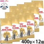 ロイヤルカナン 猫 キャットフード ブリティッシュ ショートヘアー専用フード 成猫用 400g×12袋