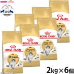 ロイヤルカナン 猫 キャットフード ノルウェージャン フォレストキャット 成猫用 2kg×6個