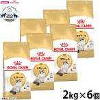 ロイヤルカナン 猫 キャットフード ラグドール専用フード 成猫用 2kg×6個