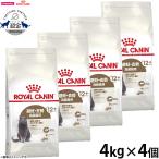 ロイヤルカナン 猫 キャットフード エイジング ステアライズド 12＋ 4kg×4個 避妊・去勢で太りやすい 高齢猫用