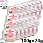 ロイヤルカナン 猫 キャットフード ウェットフード マザー&ベビーキャット 100g×24個セット