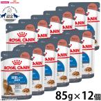 ロイヤルカナン 猫 キャットフード ウェットフード ライト ウェイト ケア 減量したい成猫用 85g×12個 減量用