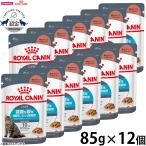 ロイヤルカナン 猫 キャットフード ウェットフード ユリナリーケア 85g×12個