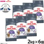 ロイヤルカナン 猫 アペタイトコントロール おねだりの多い成猫用 2kg×6個 キャットフード