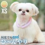 ショッピングアイスリング suo SUO 28°ICE SUOリング ボタンなし グラデーション XS サフランイエロー アイスリング ネッククーラー 犬