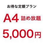 アクリル印刷　詰め放題 定額5000円 A4サイズ 3mm透明アクリル内に詰め放題、切り放題。お好きなデザインで印刷できます。アクキーづくりに！