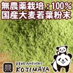 大麦若葉粉末 無農薬栽培 国産 無添