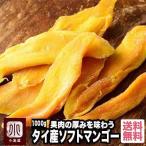 ショッピングマンゴー ドライフルーツ マンゴー ドライマンゴー タイ 産 ソフトマンゴー 1kg 甘み強め 柔らか 半生 食感