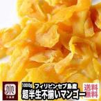 ショッピングドライフルーツ ドライフルーツ マンゴー ドライマンゴー フィリピン産 セブ 島 超半生 不揃い 1kg ペリカンマンゴー