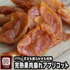 ドライフルーツドライアプリコット干...