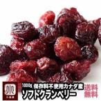 ショッピングドライフルーツ ドライフルーツ クランベリー ソフト ドライクランベリー カナダ産 1kg 保存料不使用 果物 を丸ごと ドライ