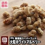 ドライフルーツ マルベリー ホワイトマルベリー 桑の実 イラン産 300g 無添加 砂糖不使用 スーパーフード