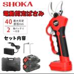 電動剪定ばさみ 充電式剪定ばさみ バッテリー2個 電動剪定ばさみ X32 切断直径最大40mm 電動剪定ばさみ 剪定ばさみ 電動 充電式剪定ばさみ 収納ケース