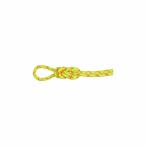 [ максимальный P5%!8/31 до ]MAMMUT Mammut 9.5 Alpine core защита dry трос 50m / 2010-05430 1287