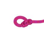【クリアランス】MAMMUT マムート 9.5 クラッグ ドライ ロープ 50m/ 2010-06040 3789