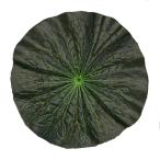  поддон сопутствующие товары ... для - s. лист ( маленький ) 7 размер примерно 21cm.. производства лотос. лист лотос лист. .. лист O-Bon украшение {SK}KZB