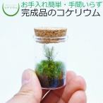 (տʪ  ߥ ƥꥦ å ꥦ   ݥƥꥦ ݥꥦ  ϥɥ㡼 鿴 ) ʤߤɤ1