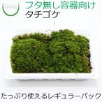 (տʪ  ߥ ƥꥦ ꥦ   ݥƥꥦ ݥꥦ  ݶ  ߺ ϥɥ㡼 ѥå) 