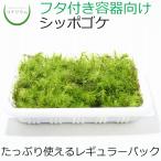 商品画像3