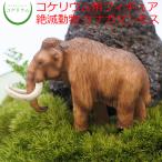 ショッピングマンモス (観葉植物 おしゃれ ミニ テラリウム フィギュア コケリウム 苔 コケ 苔テラリウム 苔リウム インテリア) コケリウムフィギュア 絶滅動物 ケナガマンモス