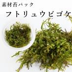 ftoryuubigoke мох террариум произведение производства для материалы мох |.. для . рост делать модель 