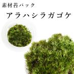 ala - silagagoke мох террариум произведение производства для материалы мох |.... рост делать модель | крепкий ...... начинающий предназначенный 