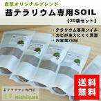(苔テラリウム 土 ソイル 苔盆栽 苔 コケリウム 苔栽培)苔テラリウム作製用SOIL 250ml 20袋セット/苔テラリウム専用ブレンド/送料無料